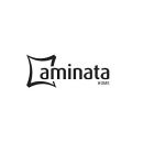 Aminata-Home Logo